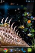 Aquarium Realme Q Wallpaper