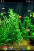 Fishbowl HD Realme Q Wallpaper