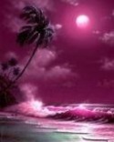 Purple Night Samsung E2210B Wallpaper