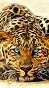 Leopard  Mobile Phone Wallpaper