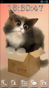 Cat In The Box Android Mobile Phone Wallpaper