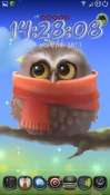 Little Owl Android Mobile Phone Wallpaper