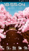 Sakura&#039;s bridge QMobile NOIR A10 Wallpaper