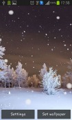 Winter Forest Huawei nova 7i Wallpaper