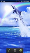 Dolphin Blue Amazon Fire Phone Wallpaper