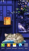 Sleeping Kitten Amazon Fire Phone Wallpaper