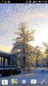 Winter Android Mobile Phone Wallpaper