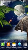 Tropical Night QMobile NOIR A10 Wallpaper