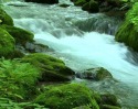 River Flow Sony Ericsson A8i Wallpaper