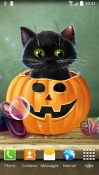 Cute Halloween Android Mobile Phone Wallpaper