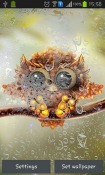 Autumn Little Owl QMobile NOIR A10 Wallpaper