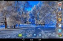 Nice Winter Android Mobile Phone Wallpaper