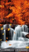 Falling Leaves Android Mobile Phone Wallpaper