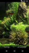 Fish Aquarium 3D Unnecto Bolt Wallpaper