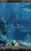 Shark Reef Amazon Fire Phone Wallpaper