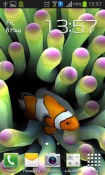 Sim Aquarium QMobile NOIR A10 Wallpaper