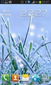 Winter Grass Android Mobile Phone Wallpaper