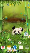 Funny Panda Android Mobile Phone Wallpaper