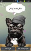 French Bulldog Android Mobile Phone Wallpaper