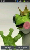 Royal Frog QMobile NOIR A10 Wallpaper