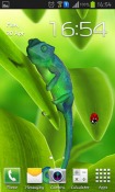 Chameleon 3D Android Mobile Phone Wallpaper