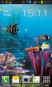 Aquarium Android Mobile Phone Wallpaper