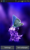Cute Butterfly Android Mobile Phone Wallpaper