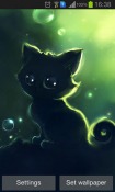 Lonely Black Kitty Android Mobile Phone Wallpaper