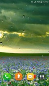 Spring Rain By Locos Apps QMobile NOIR A10 Wallpaper
