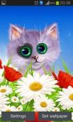 Spring: Kitten Android Mobile Phone Wallpaper