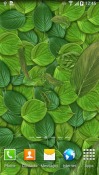 Leaves 3D Android Mobile Phone Wallpaper