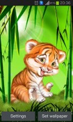 Cute Tiger Cub QMobile NOIR A10 Wallpaper