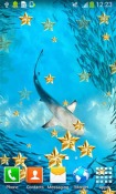 Underwater Huawei Ascend P6 Wallpaper