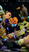 Aquarium Huawei Ascend P6 Wallpaper