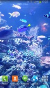 Aquarium HD 2 Android Mobile Phone Wallpaper
