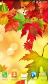 Autumn Android Mobile Phone Wallpaper