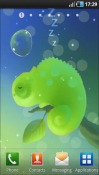 Mini Chameleon Samsung Galaxy Y S5360 Wallpaper