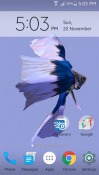 Betta Fish 3D Huawei Ascend P6 Wallpaper