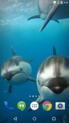 Ocean 3D: Dolphin Huawei Ascend P6 Wallpaper