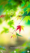Fresh Leaves Samsung Galaxy Y S5360 Wallpaper