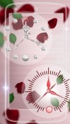 Rose Picture Clock Android Mobile Phone Wallpaper