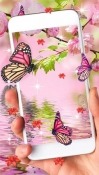 Pink Butterfly Huawei Ascend P6 Wallpaper
