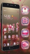 Transparent Sakura QMobile NOIR A10 Wallpaper