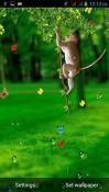 Funny Monkey Android Mobile Phone Wallpaper
