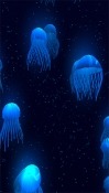 Jellyfish 3D Coolpad Note 3 Wallpaper