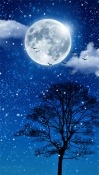 Moonlight Android Mobile Phone Wallpaper
