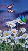 Summer: Flowers And Butterflies QMobile NOIR A10 Wallpaper