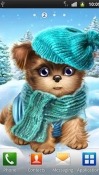 Cute And Sweet Puppy: Dress Him Up Android Mobile Phone Wallpaper