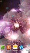Luminous Flower Android Mobile Phone Wallpaper