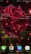 Magical Rose Samsung Galaxy Y S5360 Wallpaper